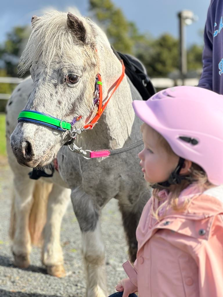 Little Scribbles Pony Hire & Pony Parties 🥳