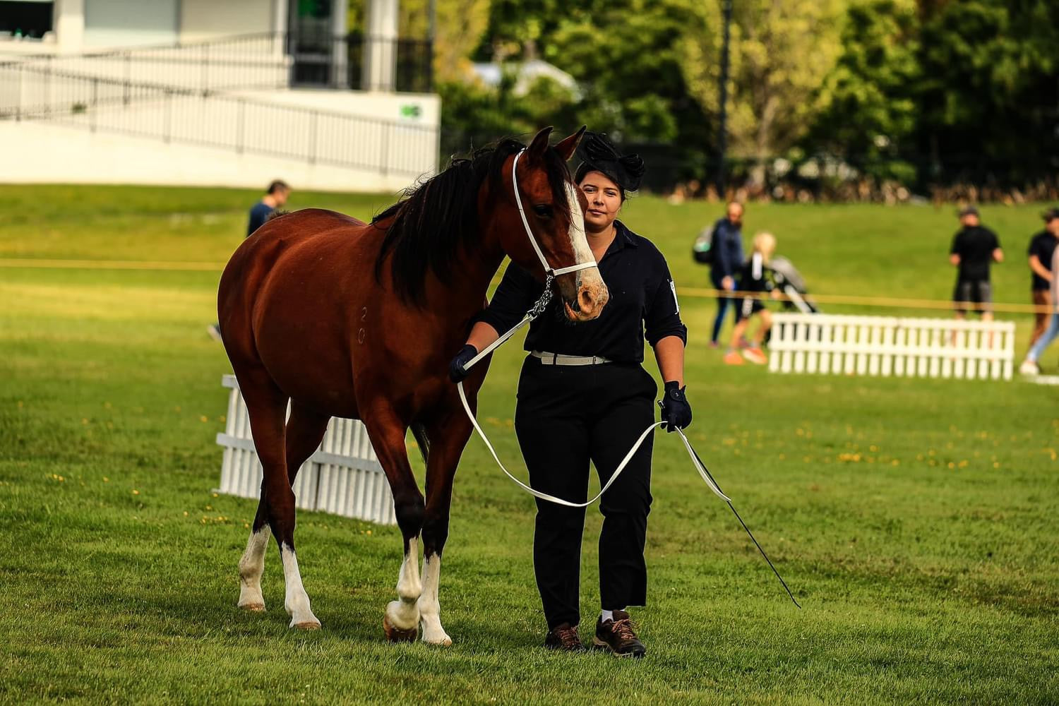 A person in black attire leads a brown horse by a white lead rope across a grassy field, with white fences in the background and people visible in the distance.