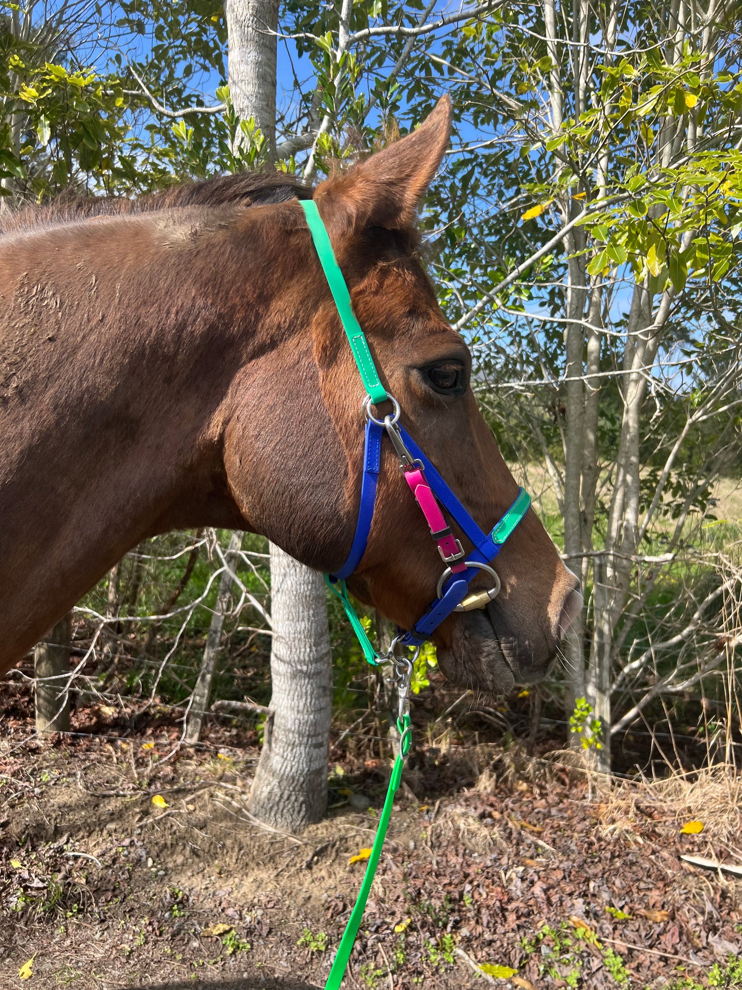 LS UltraLight Bridle Range