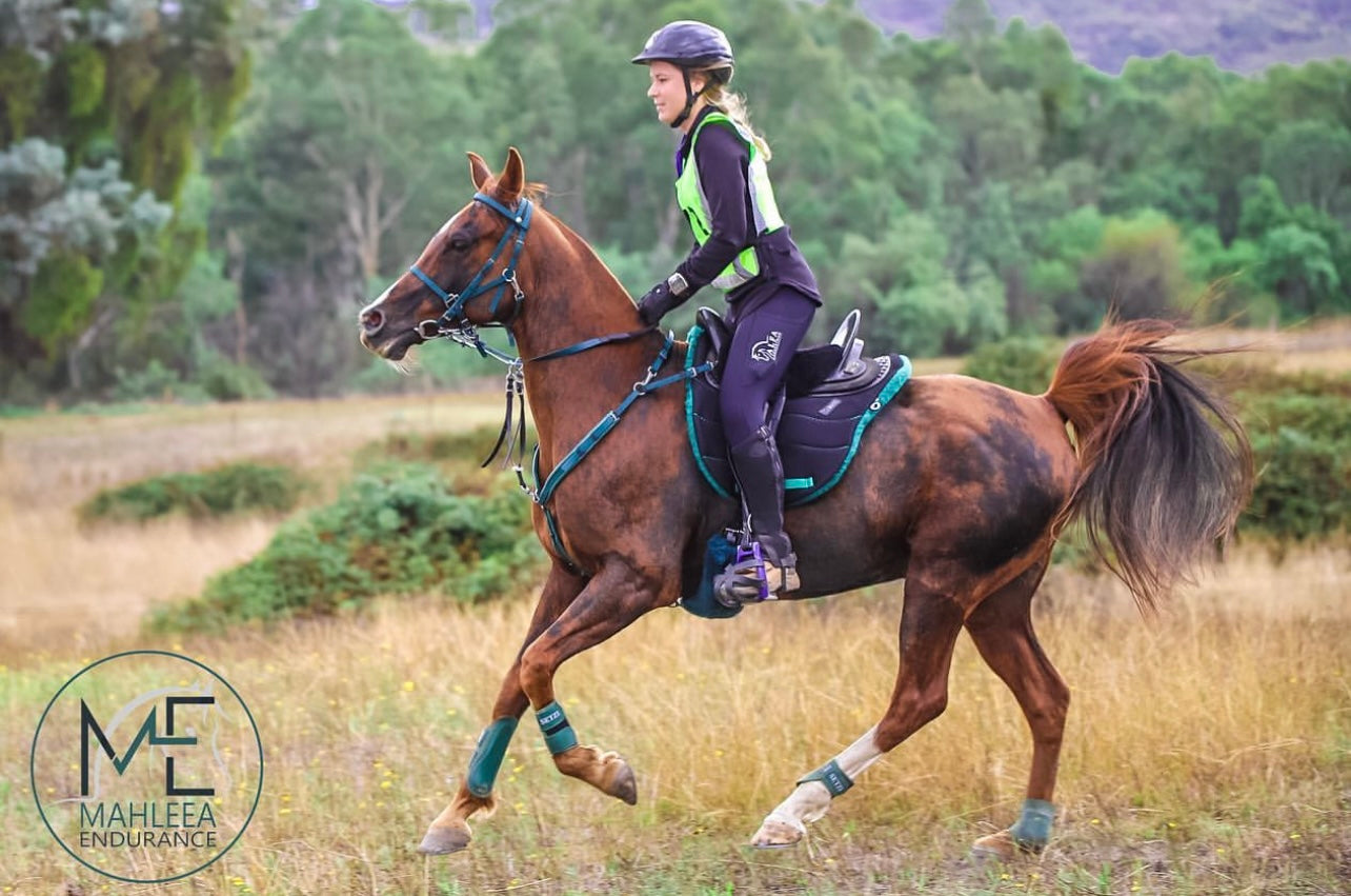Riding Tights - Alfa Endurance Equestrian