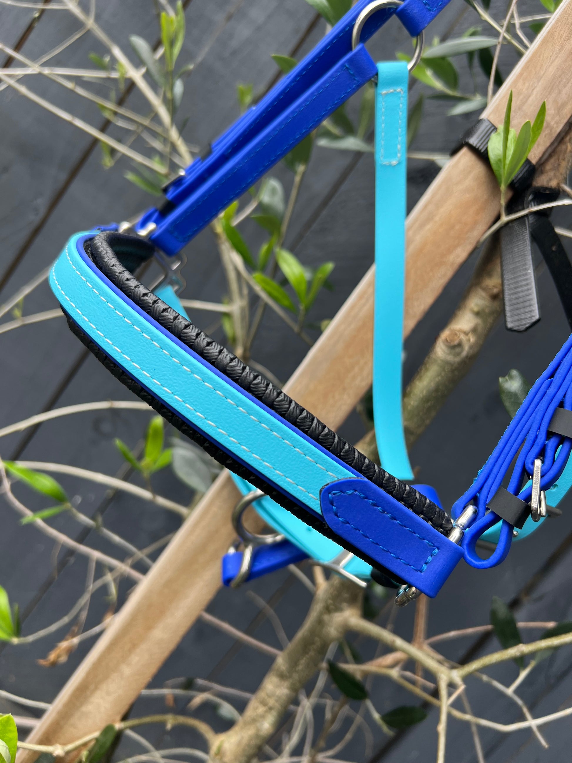 A close-up of a blue and black LS Deux 2 Part Bridle from LS Equestrian, designed to your own specifications, hanging on a wooden beam. The background showcases green leafy branches against a dark surface, enhancing the allure of this piece handcrafted in New Zealand.