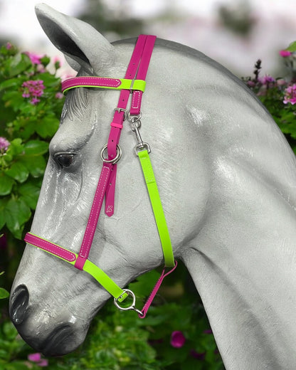 A gray horse adorned with a vibrant LS Equestrian NZ LS Lightweight Enduro Bridle in magenta and apple green stands in profile against lush green leaves and pink flowers.