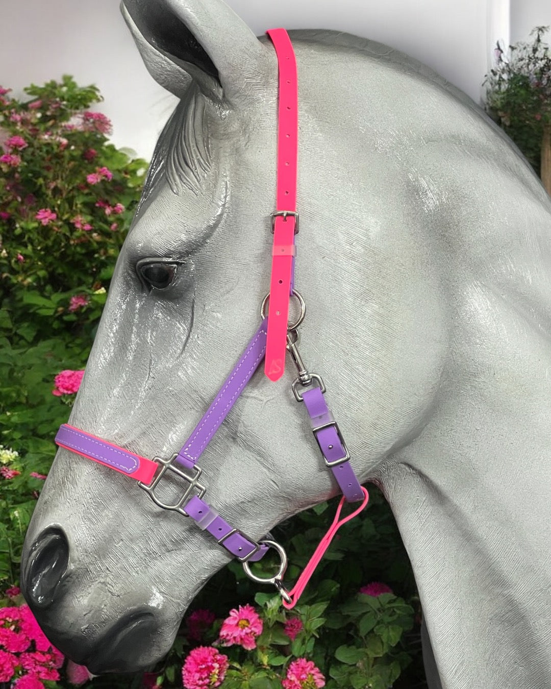 LS BioThane®️ 2 Part Bridle with V Browband- Design your own