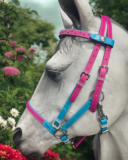 LS Deux 2-Part Detailed Endurance Bridle - Premium Style with Enhanced Noseband and Browband