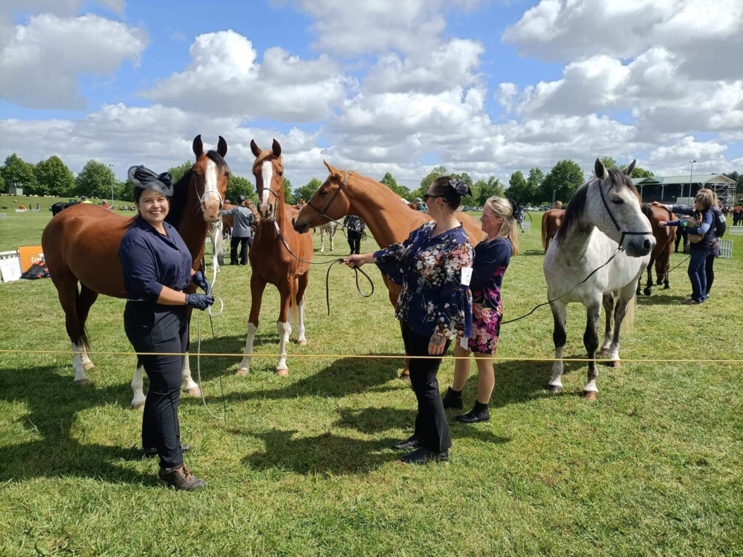 LS Inhand Show Bridle BioThane®️ Bridle - Design your own