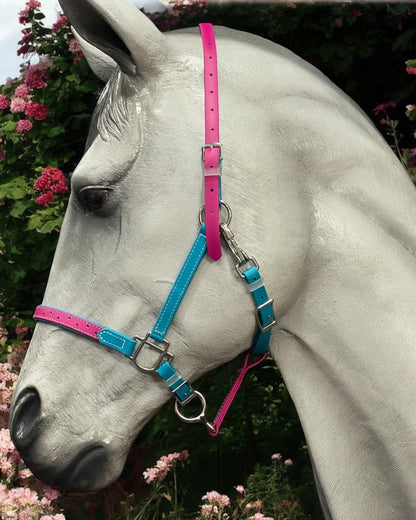 LS Deux 2-Part Detailed Endurance Bridle - Premium Style with Enhanced Noseband and Browband