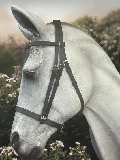 Showing Bridle, Hinterland Bridle, Biothane bridle, traditional English bridle, bridle, biothane showing bridle, hunter bridle, inhand bridle, cavesson bridle, show bridle, biothane show bridle, plain bridle, biothane plain bridle