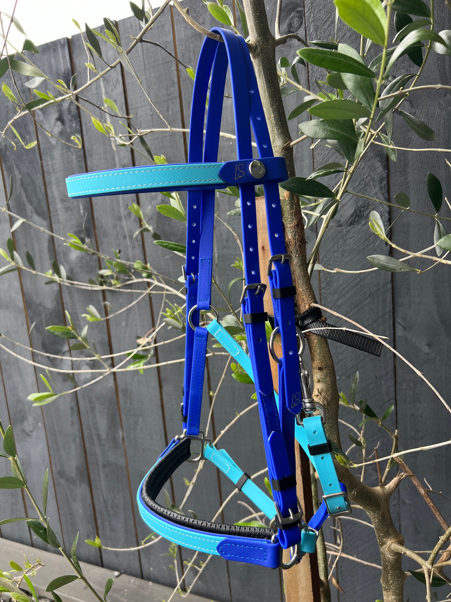 The LS Deux 2 Part Bridle Padded by LS Equestrian is a bespoke creation from New Zealand, elegantly designed with vibrant blue and turquoise Beta BioThane. Displayed gracefully on a wooden branch against a dark fence, it highlights its silver metal rings and buckles amidst leafy branches.