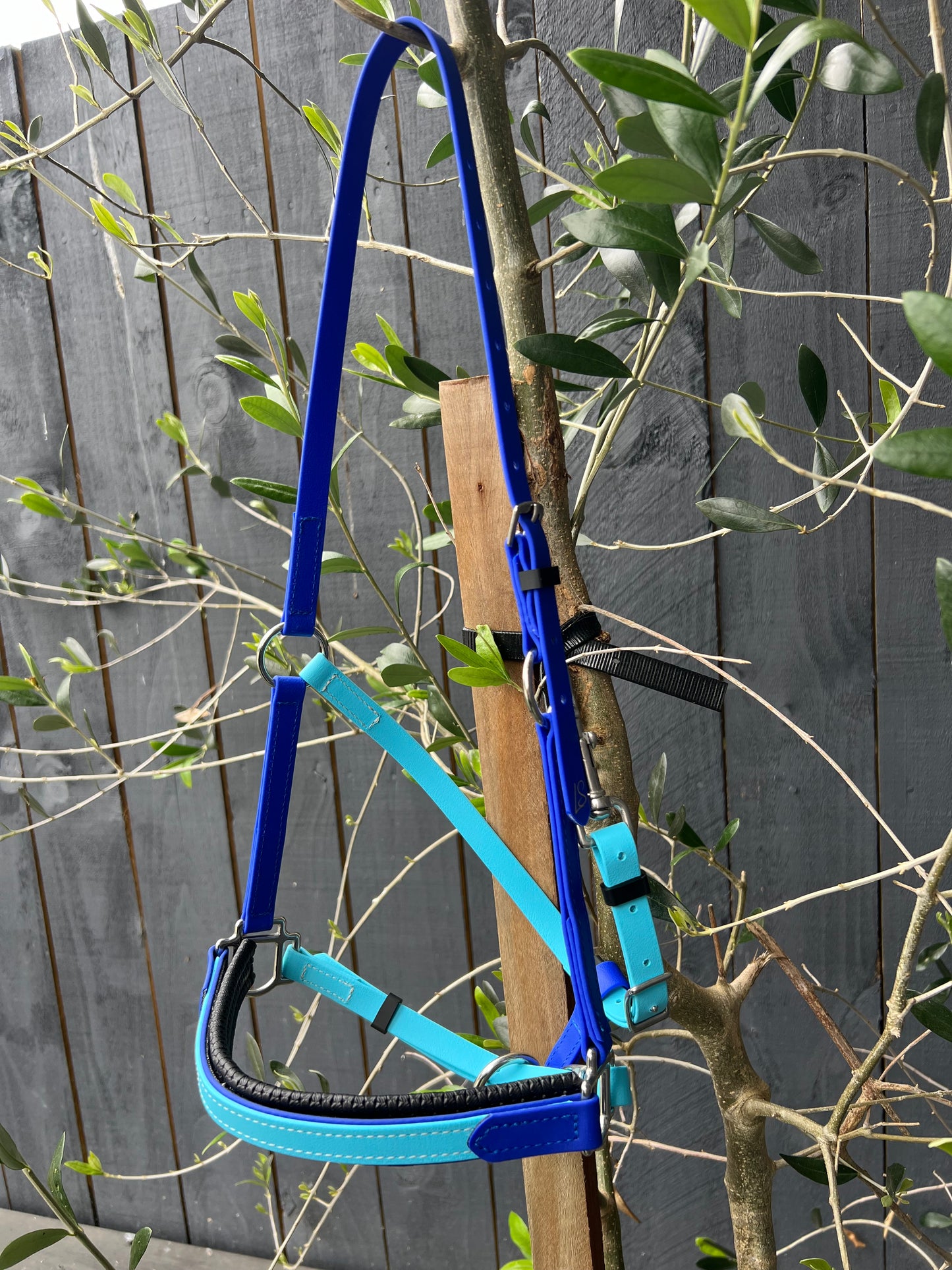 A blue and turquoise LS Deux 2 Part Bridle Padded horse halter from LS Equestrian is displayed hanging on a wooden post in front of a gray fence. The scene is enhanced by green leaves from nearby plants, highlighting the exquisite craftsmanship handmade in New Zealand.