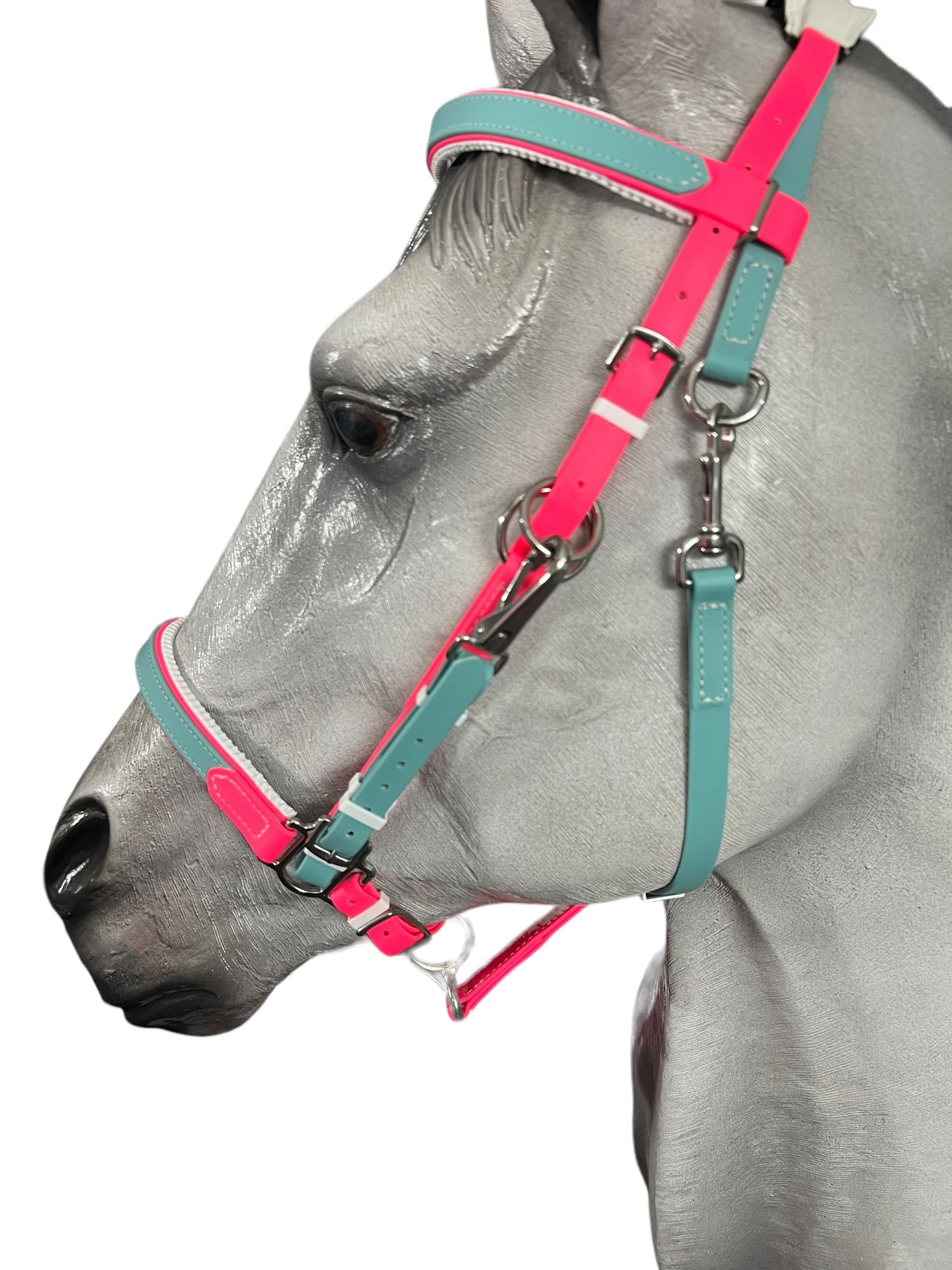 In this close-up, a gray horse wears a custom-designed halter from the LS Enduro Padded - Design your own collection by LS Equestrian. The bridle showcases vibrant pink and turquoise straps adorned with silver hardware. Crafted in New Zealand, the horse is positioned facing left against a simple white backdrop.