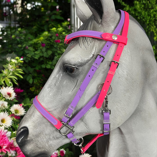 BioThane 2 part bridle, 2 part bridle, v browband, 2 part bridle with v browband, endurance bridle, biothane bridle, colourful bridle, synthetic bridle, synthetic 2 part bridle, deluxe endurance bridle, v browband