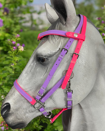 LS BioThane®️ 2 Part Bridle with V Browband- Design your own