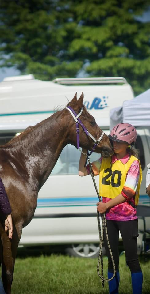 A person wearing a pink helmet and a yellow vest numbered 20 holds the reins of an LS Enduro - Design your own bridle from LS Equestrian on a brown horse. They are positioned outdoors near a white vehicle and tents, with trees in the background.