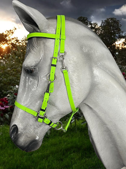 A gray horse wearing an LS Equestrian's custom-designed neon green LS Enduro bridle stands in profile amidst trees and a dramatic sky where sunlight bursts through dark clouds. The lush grass in the foreground enhances the striking scene.