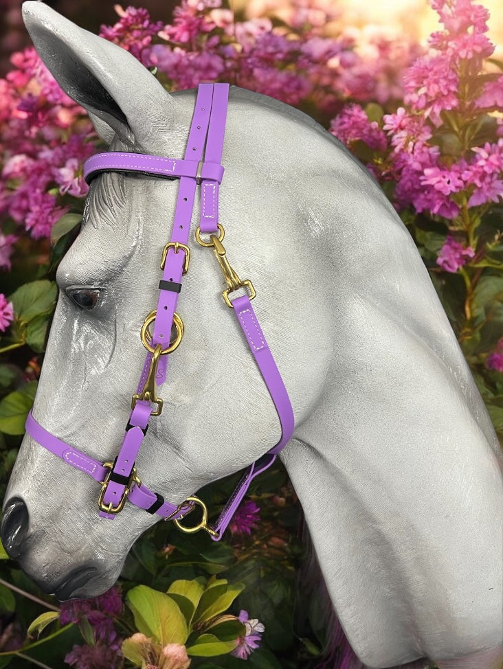 An elegant horse showcases the LS Enduro - Design your own bridle by LS Equestrian, featuring custom stainless steel fittings, while standing against a backdrop of vivid purple flowers and lush green foliage, all illuminated by warm sunlight.