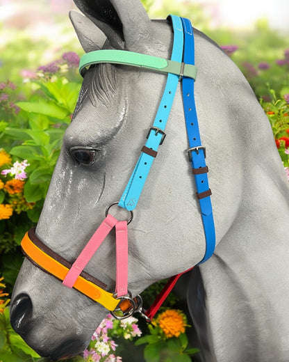 Sidepull bitless bridle, bitless bridle, biothane bridle, biothane bitless bridle, bitless riding, bridle, Sidepull, colourful bridle, waterproof bridle, synthetic bitless bridle, padded bitless bridle, ls bitless Sidepull bridle, bitless Sidepull bridle, rainbow coloured bridle 