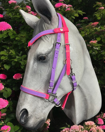 LS BioThane®️ 2 Part Bridle with V Browband- Design your own