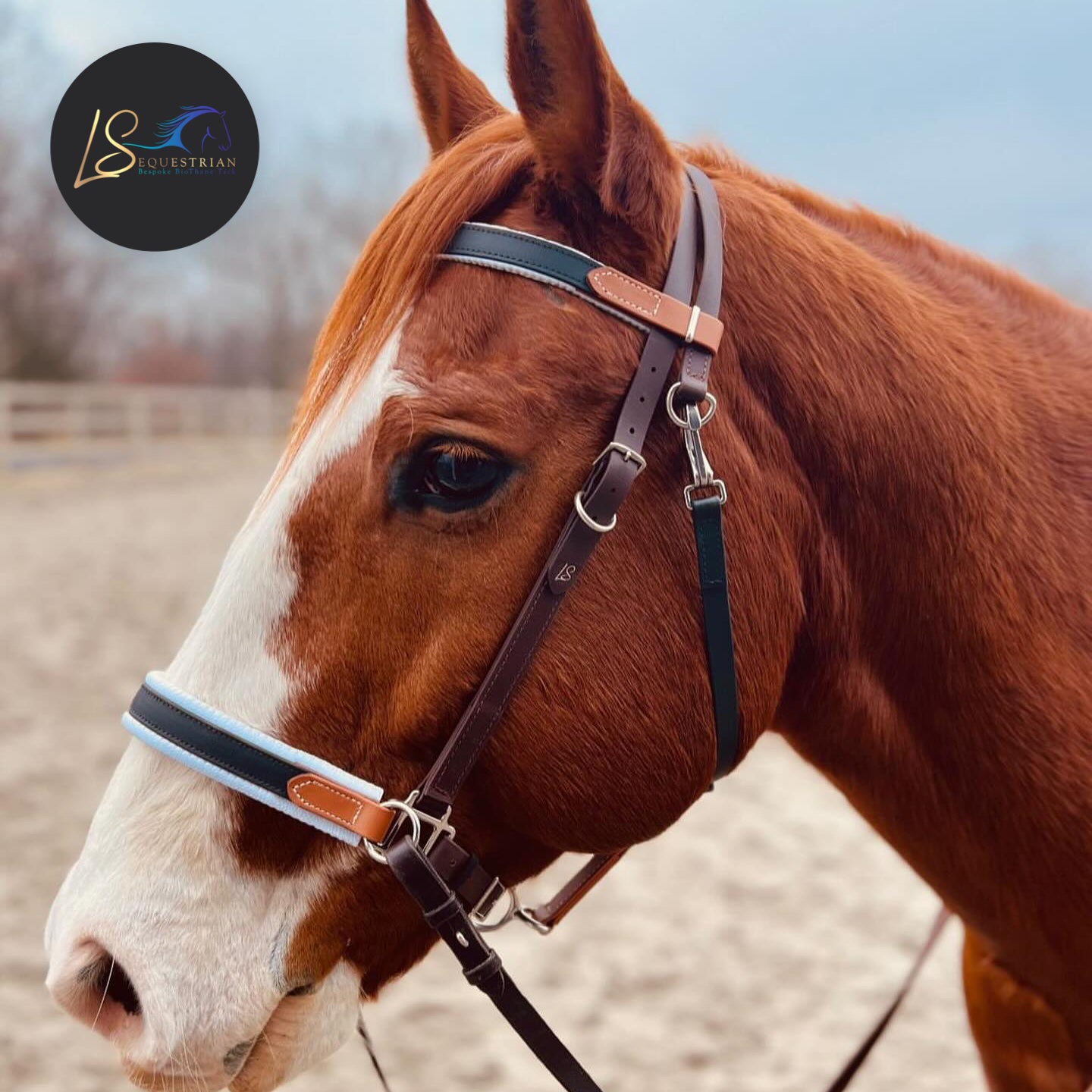 Pony bitless bridle you choose the color, pony cheapest bridle