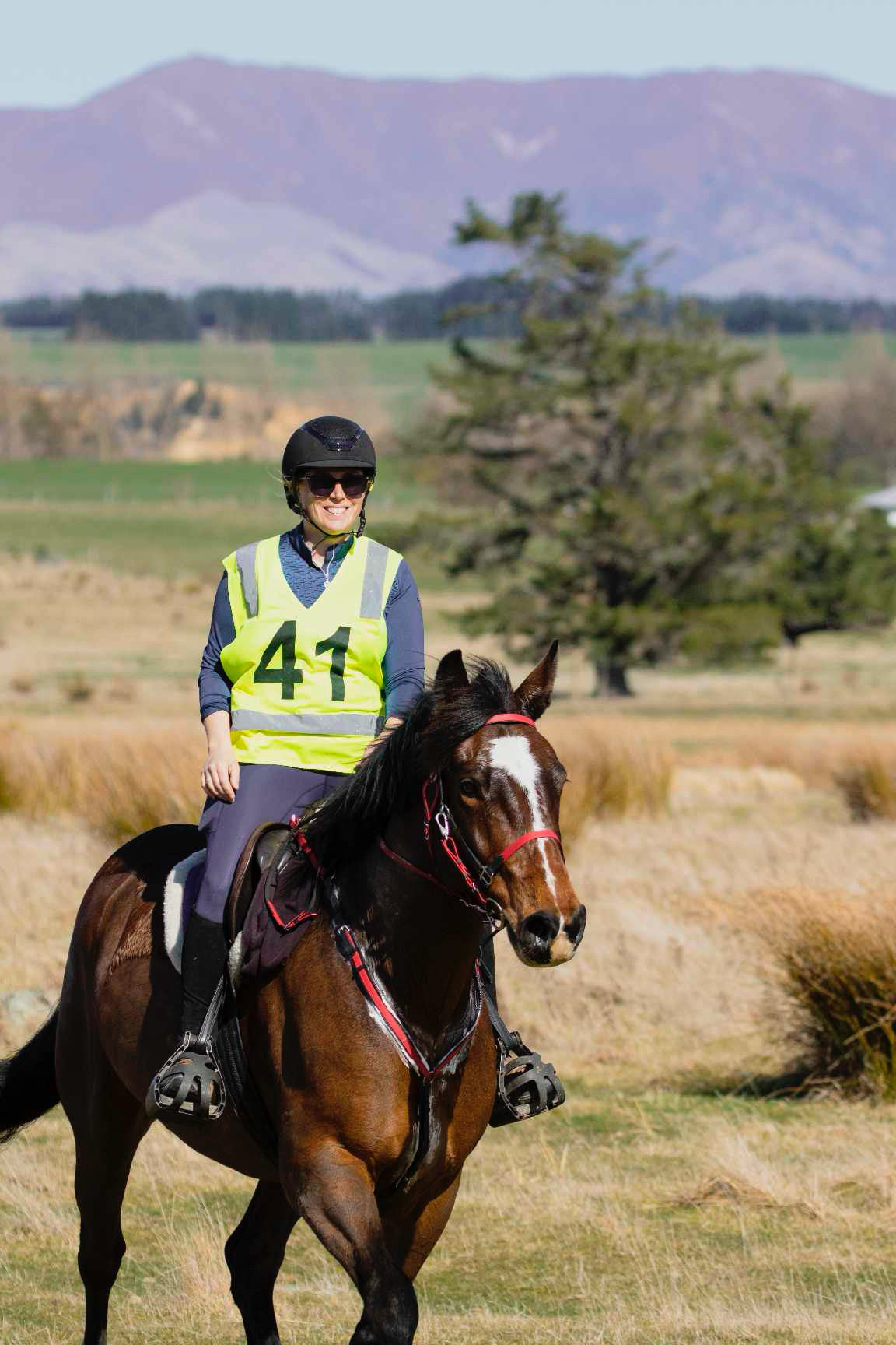 A person wearing a high-visibility vest labeled '41' rides a brown horse equipped with an LS Equestrian's LS Enduro - Design your own custom-designed bridle, in an open field. The rider sports a helmet and sunglasses. The landscape is dotted with shrubs and a tree, with purple mountains in the distance under a clear blue sky.