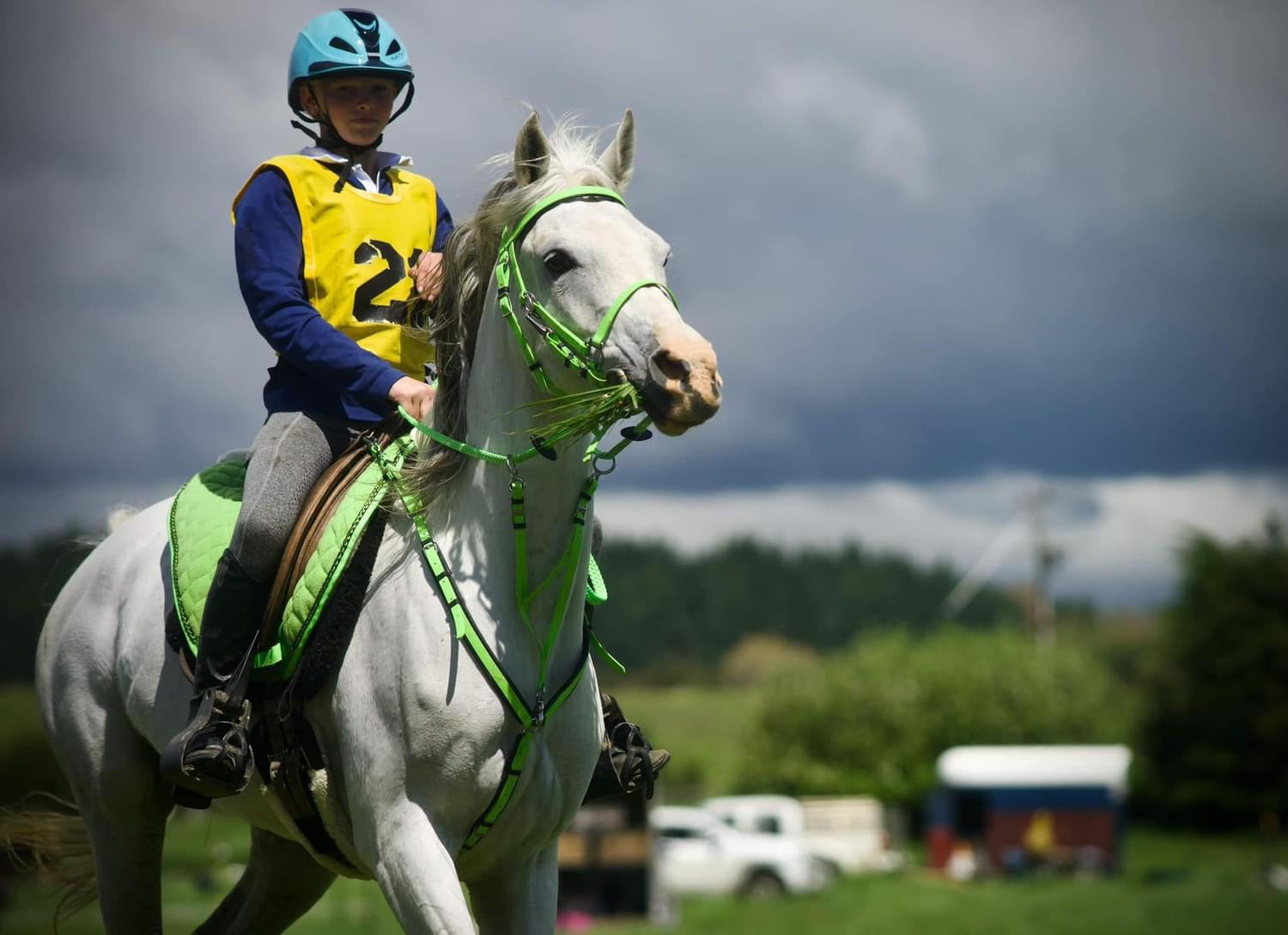 A rider equipped with a blue helmet and a yellow vest featuring the number 24 sits atop a white horse, which is elegantly dressed in green tack complemented by an enduro bridle. Against a backdrop of cloudy skies and lush greenery, the custom design's stainless steel fittings from the LS Enduro collection by LS Equestrian are prominently showcased.