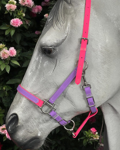 LS BioThane®️ 2 Part Bridle with V Browband- Design your own