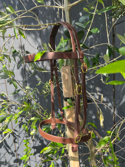 Inhand bridle, in hand bridle, show bridle, biothane inhand bridle, beta biothane inhand bridle, biothane show bridle, Shetland bridle, showing bridle 