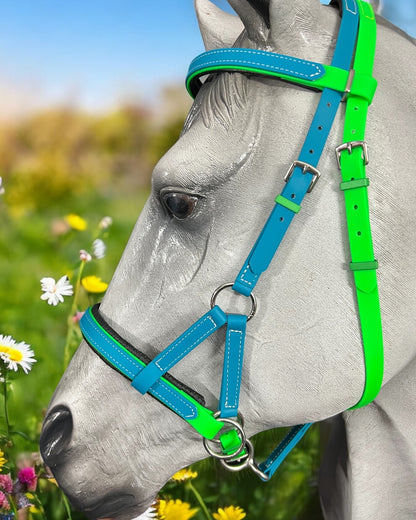 A gray horse in a colorful blue and green LS Equestrian SidePull Bitless Bridle stands in a flower-filled meadow beneath a clear sky.