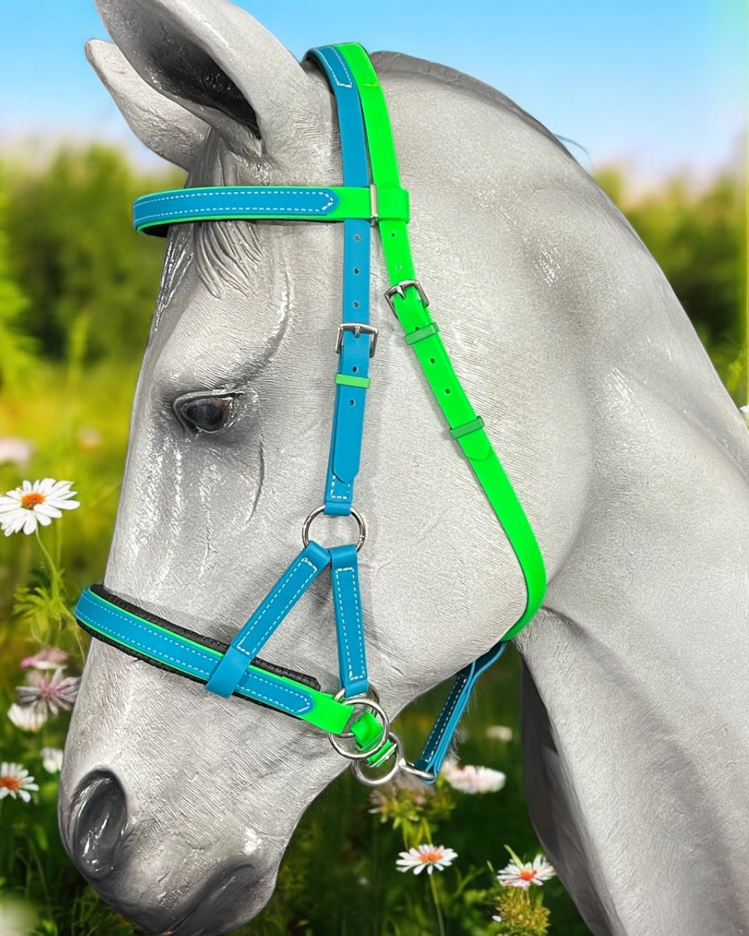 A gray horse wears an LS Equestrian SidePull Bitless Bridle Option 2 in blue and green BioThane®️, gracefully standing in a daisy field with blurred greenery and a clear blue sky as the backdrop.