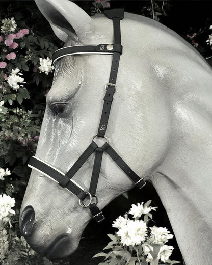 Sidepull bitless bridle, bitless bridle, biothane bridle, biothane bitless bridle, bitless riding, bridle, Sidepull, colourful bridle, waterproof bridle, synthetic bitless bridle, padded bitless bridle, ls bitless Sidepull bridle, bitless Sidepull bridle, jowl strap