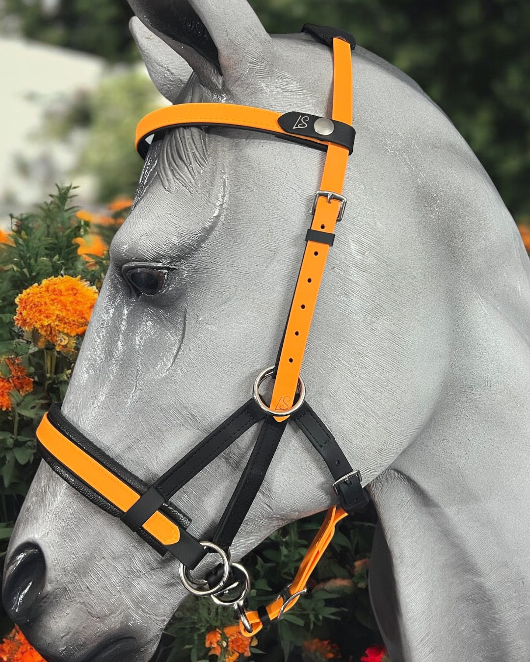 Sidepull bitless bridle, bitless bridle, biothane bridle, biothane bitless bridle, bitless riding, bridle, Sidepull, colourful bridle, waterproof bridle, synthetic bitless bridle, padded bitless bridle, ls bitless Sidepull bridle, bitless Sidepull bridle, jowl strap, multi bridle