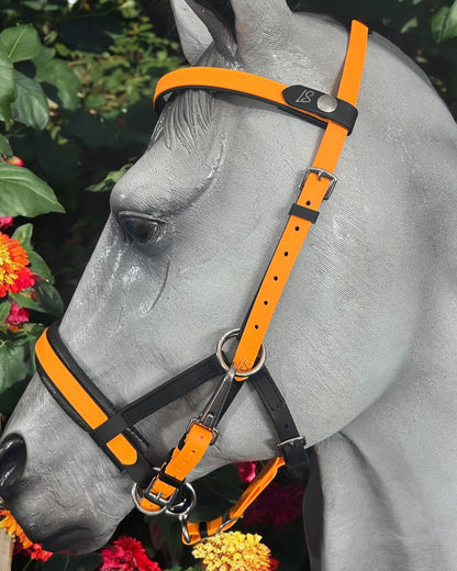 Sidepull bitless bridle, bitless bridle, biothane bridle, biothane bitless bridle, bitless riding, bridle, Sidepull, colourful bridle, waterproof bridle, synthetic bitless bridle, padded bitless bridle, ls bitless Sidepull bridle, bitless Sidepull bridle, jowl strap, multi bridle