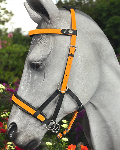 A gray horse is showcased up close, adorned with a stylish orange and black bridle from the LS Equestrian Multi Bridle Option 3 - Design Your Own collection. The backdrop reveals a lush garden filled with vibrant flowers and green foliage.