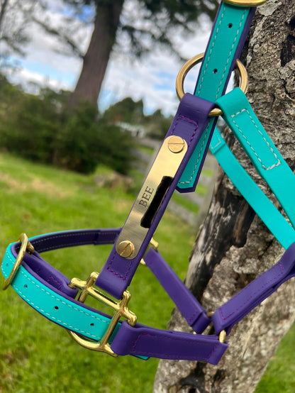Style Your Own Engraved Halter