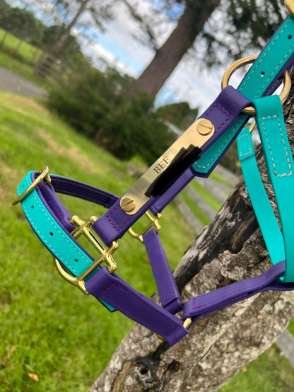 Style Your Own Engraved Halter