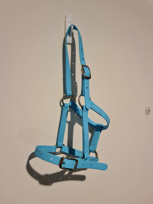 A blue LS Equestrian Miniature Paddock Halter - Light Blue with silver hardware hangs on a white wall hook. The halter is neatly arranged, and its shadow is visible on the wall behind it. The smooth, light-colored surface of the wall features a small, white electrical outlet cover to the right of the halter.