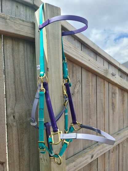 Halter Bridle - Teal, Violet & Silver Grey