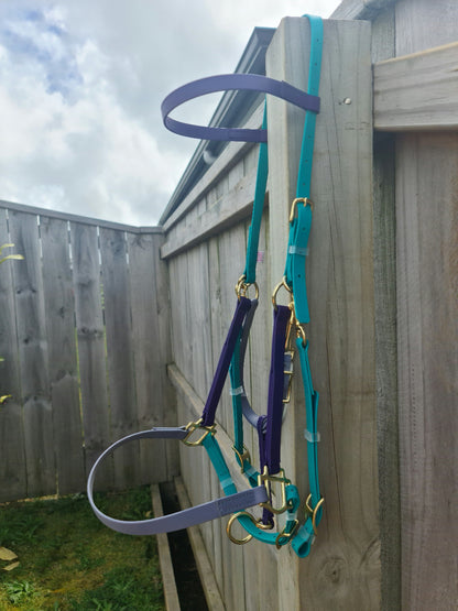 Halter Bridle - Teal, Violet & Silver Grey