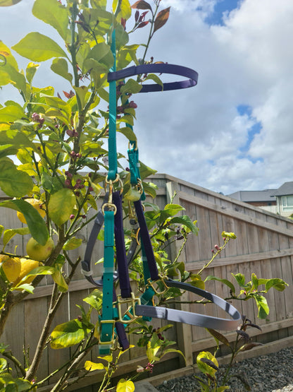 Halter Bridle - Teal, Violet & Silver Grey