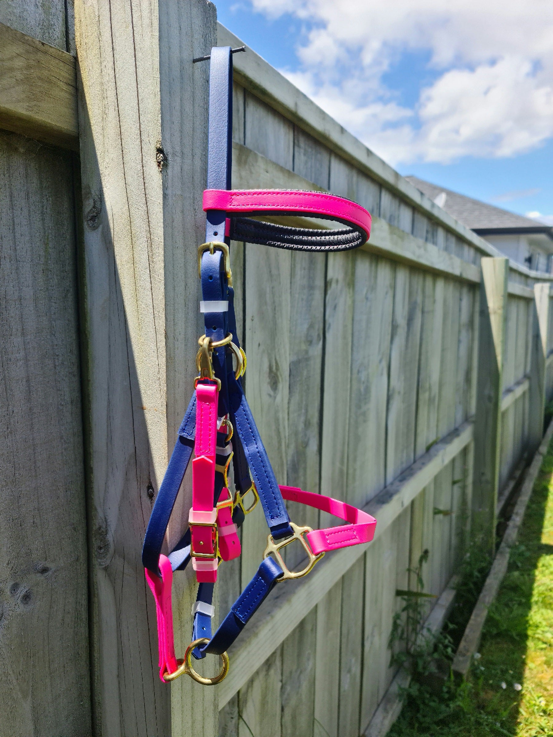 A colorful Bridle - Halter Bridle Navy & Pink by LS Equestrian with blue and pink BioThane straps hangs on a wooden fence under a sunny sky. The fence stretches into the distance, and a house with a grey roof is visible in the background. The halter features gold metal rings and clips.