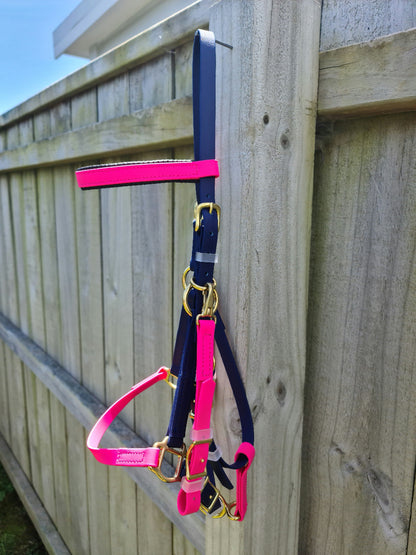 A brightly colored LS Equestrian Bridle - Halter Bridle Navy & Pink hangs on a wooden fence. The halter is predominantly dark blue with neon pink accents and gold-colored metal buckles and rings. The background shows a clear blue sky above the fence.