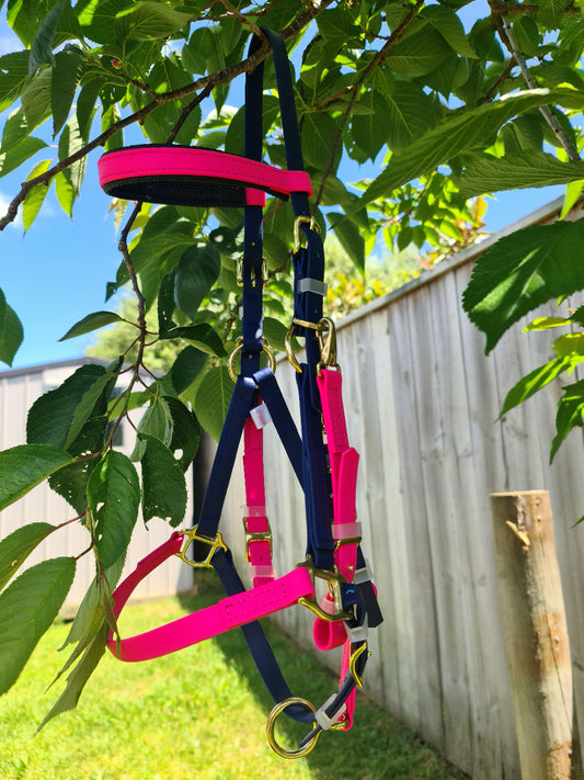 A horse halter in vibrant colors hangs on a tree branch in a backyard. The Bridle - Halter Bridle Navy & Pink by LS Equestrian has bright pink and navy straps, with gold buckles and hardware. A wooden fence and green grass are in the background, and sunlight filters through the leaves.