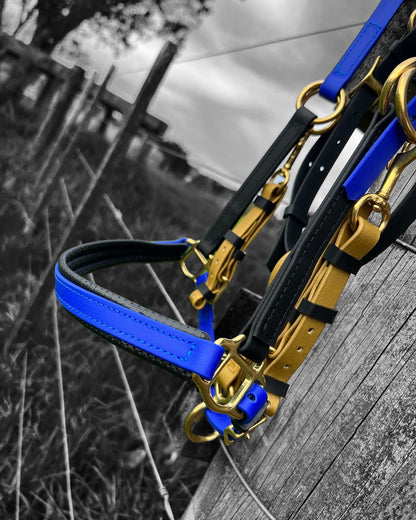 LS Enduro Bridle-  Royal Blue, black & gold