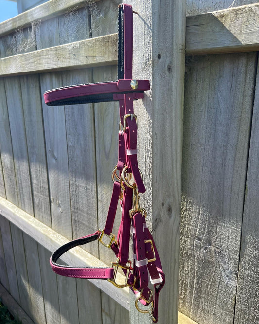 Padded Halter Bridle - Maroon